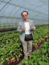 柳さんのイチゴ農園⑤