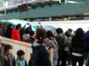 3月26日 北海道新幹線開業日のJR東京駅