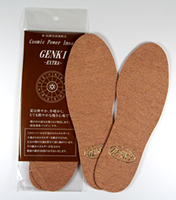 ｢Cosmic Power Insole｣GENKI EXTRAの写真