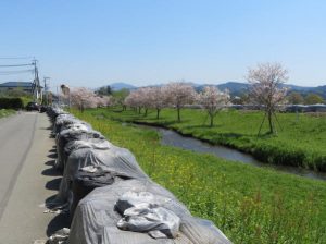 木山川