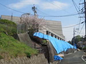 益城町文化会館