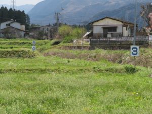 東海大学実習農地②