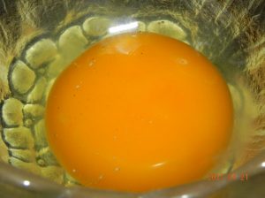 生卵保存実験(容器有)⑥