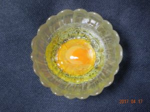 生卵保存実験(容器無)④