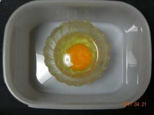 生卵保存実験(容器有)⑤