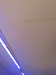 ナントカ工法で塗装された天井