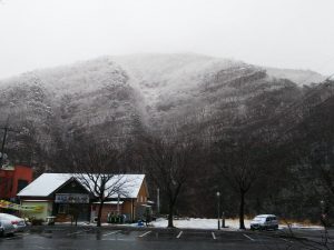 朝の雪景色