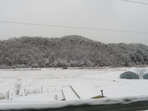 雪が深くなる田舎道