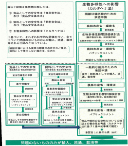 遺伝子組み換え食品の日本の規制について