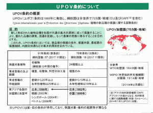 UPOV 条約について