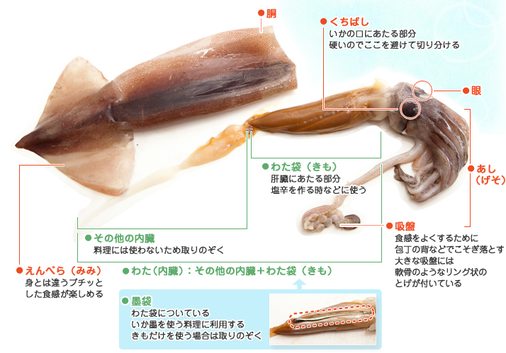 真実の口 1 328 知らなければ気にならないのに 知ってしまうと気になる話 抗酸化溶液と抗酸化工法のask株式会社