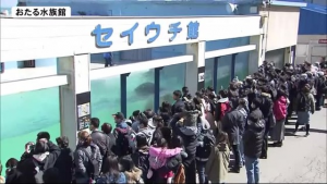 道の緊急事態宣言が解除賑わいを見せるおたる水族館