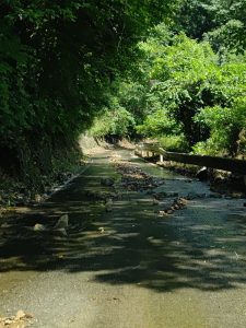 7月1日宮崎県山中①