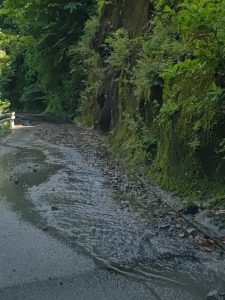 7月1日宮崎県山中③