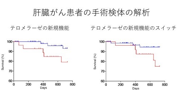 肝臓がん患者100例の手術検体を用いた解析