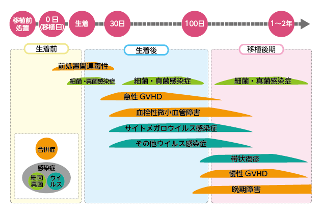 副作用・合併症の出現時期