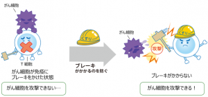 免疫チェックポイント阻害薬の仕組み