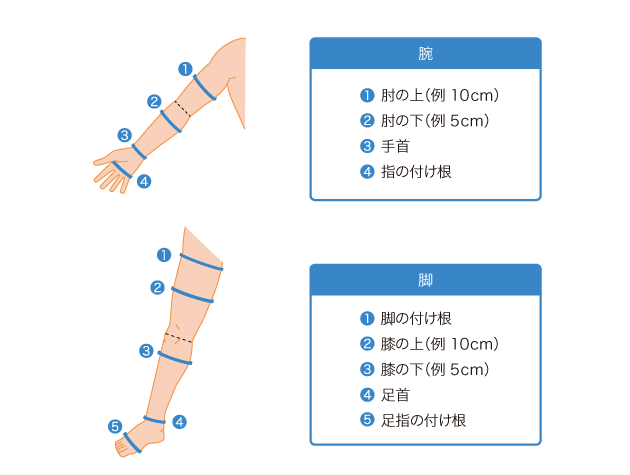 腕や脚の太さの代表的な測る部位