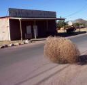 Tumbleweed