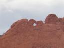 Kissing Camels②