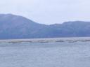 山田湾の養殖筏①