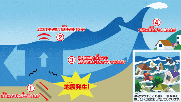 津波伝搬の仕組み