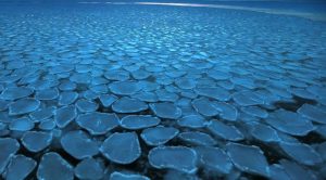 流氷