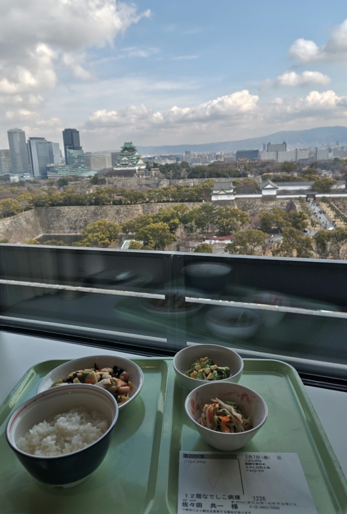 大阪城を見ながらの昼食